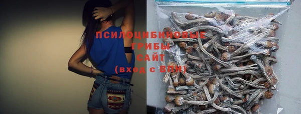 мдпв Новодвинск
