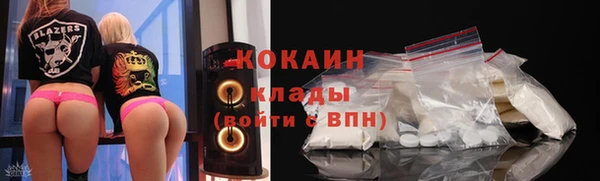шишки Нязепетровск