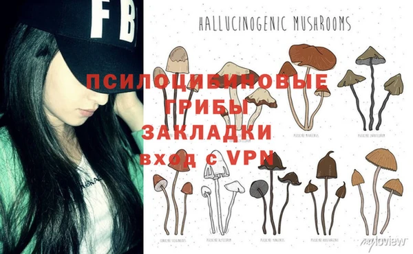 шишки Нязепетровск