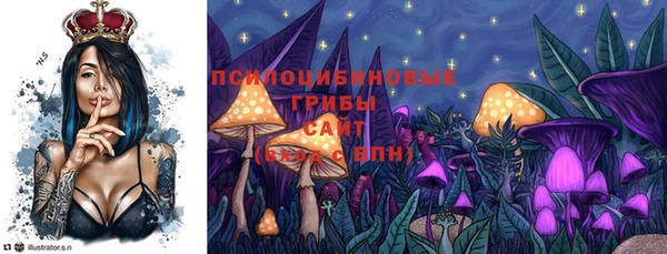 прущий лед Няндома