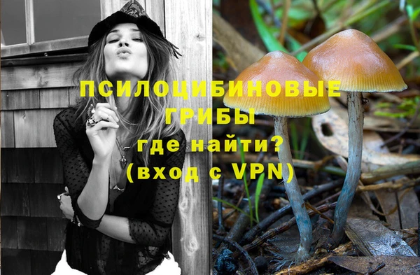 мдпв Новодвинск