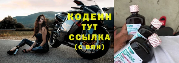 шишки Нязепетровск