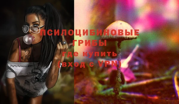 шишки Нязепетровск
