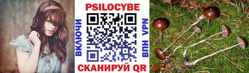 Псилоцибиновые грибы MAGIC MUSHROOMS  Лабинск 